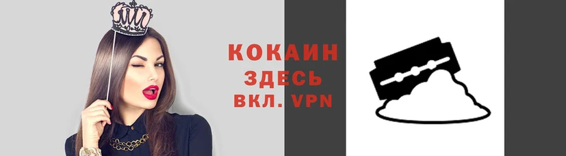 шишки Покровск