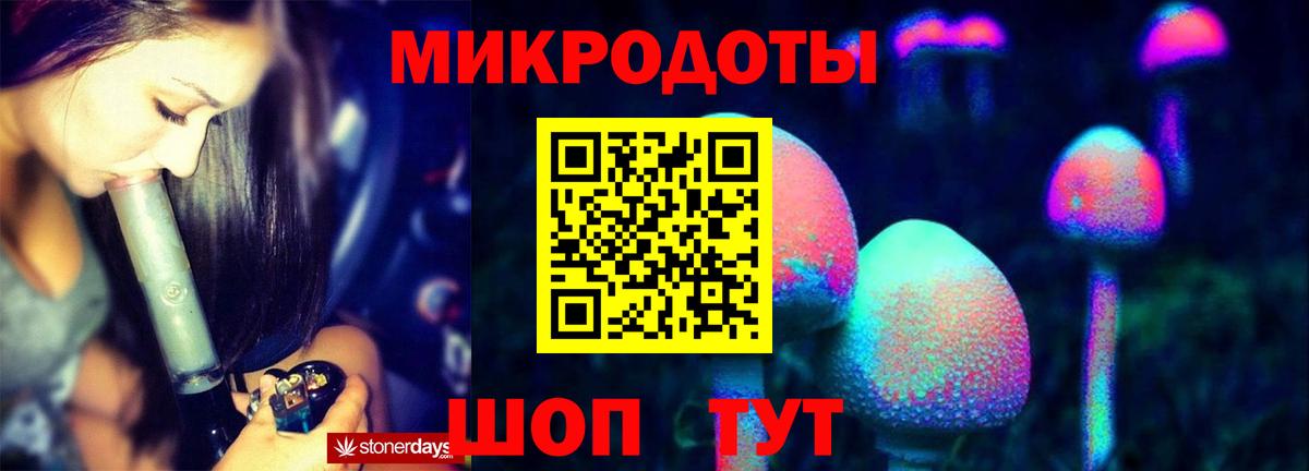 Сальск  Галлюциногенные грибы прущие грибы  Вход с VPN 