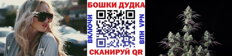 Шишки марихуана семена  где можно купить наркотик  Сальск 
